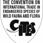 Speaking Up for Music and Conservation 
